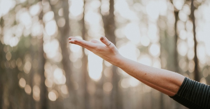 IV Hydration or Vitamin Injections